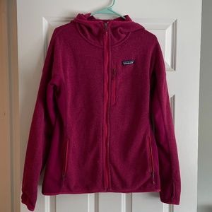 Patagonia Better Sweater Hoodie